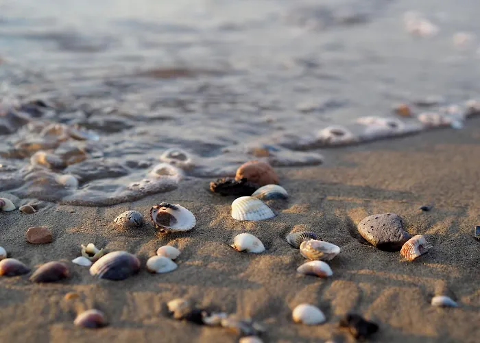 Comfortable Seafront Apartment Bibione